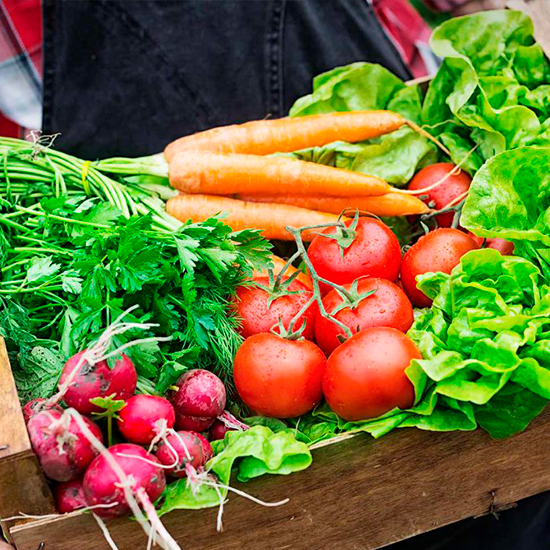 Hortaliças Orgânicas